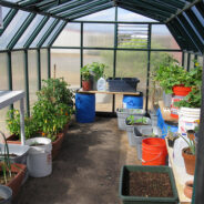 Indoor Greenhouse Construction 101