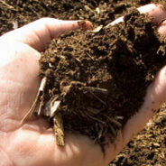 What Is Composting?