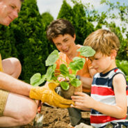 Start A Family Garden